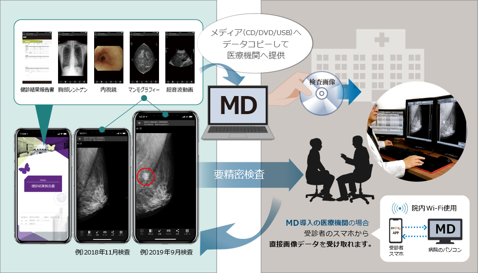 比較診断イメージ